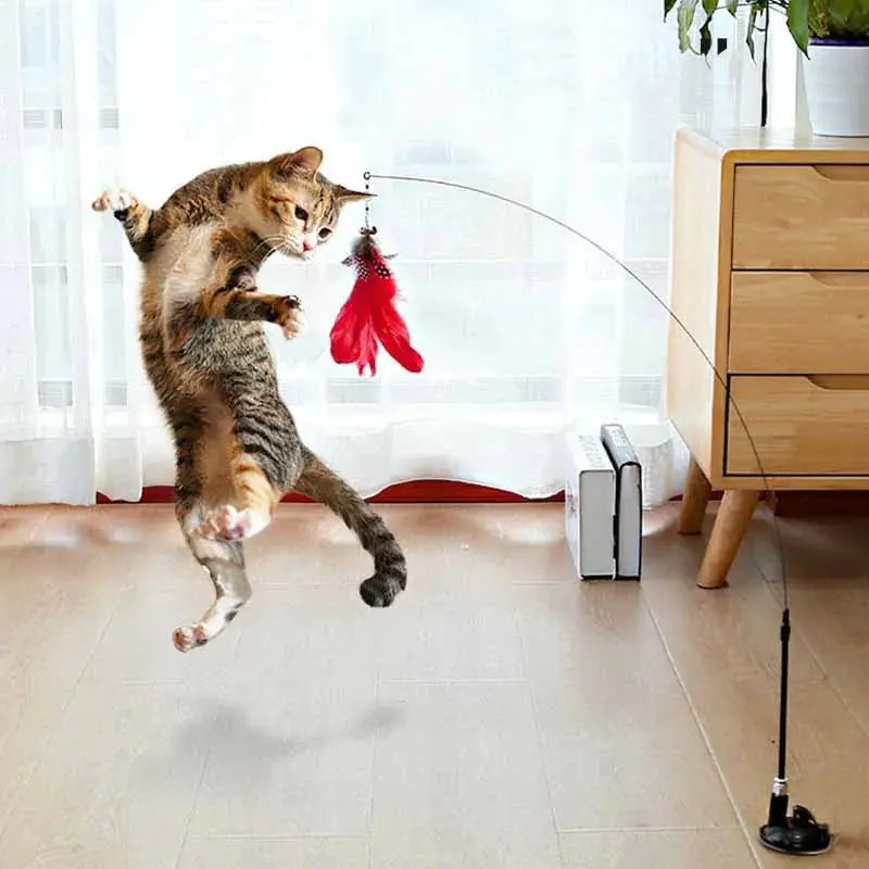 Cat Wand Toy